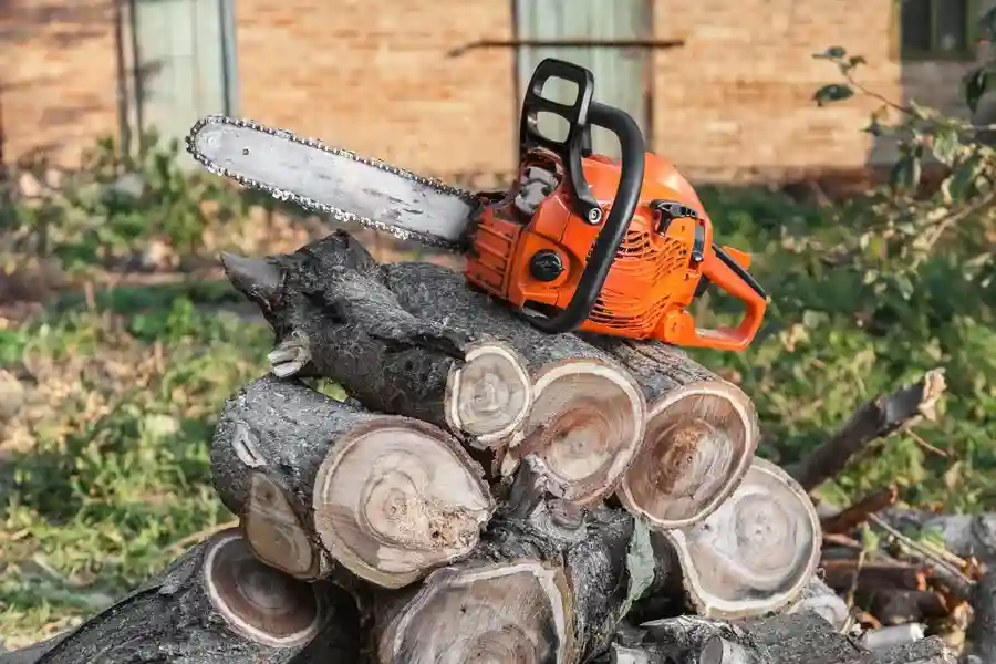 Reliable Tree Cutting Service in Champaign, IL